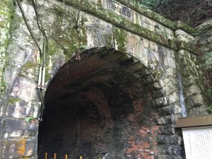 IMG_6515