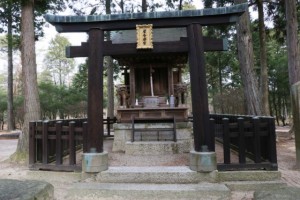 紫香楽京の甲賀寺跡