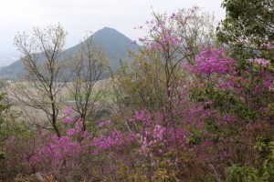 菩提寺山