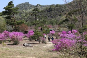 希望が丘文化公園ふれあいの森