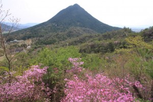 近江富士花緑公園から見る三上山（近江富士）