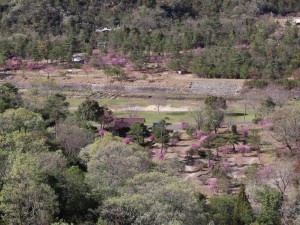 天山から希望が丘文化公園を望む