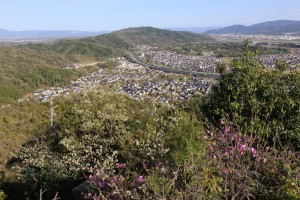 天山からハイウェイサイドタウンを望む