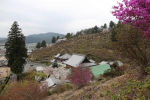 大龍寺とドウダンツツジ