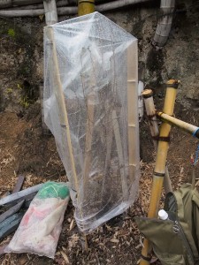 シカの食害防止カバー