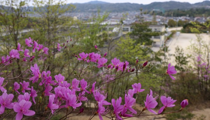 菩提寺小学校
