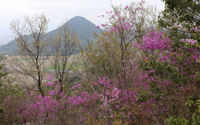 菩提寺山
