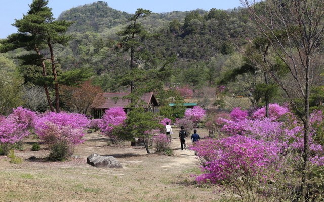 希望が丘文化公園ふれあいの森