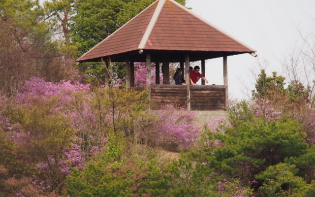 近江富士花緑公園の四阿